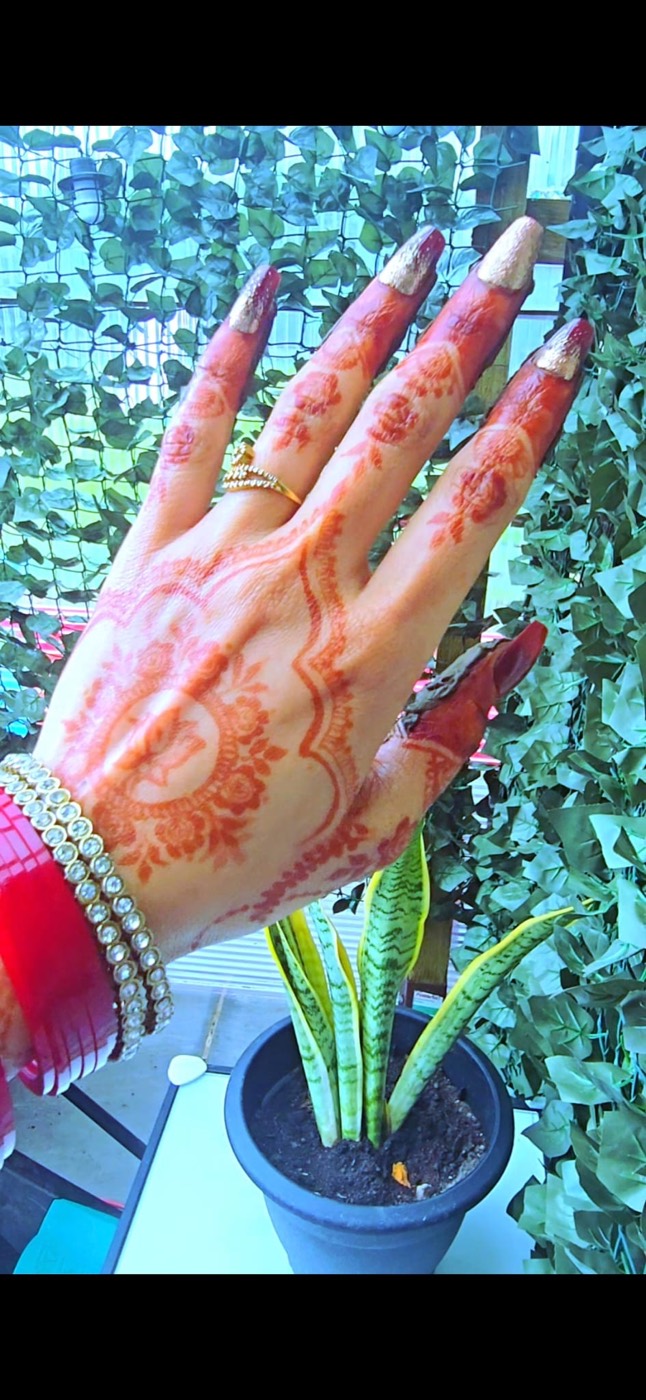 Henna portfolio image 12